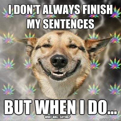 I don't always finish my sentences but when I do... What was I saying?  Stoner Dog