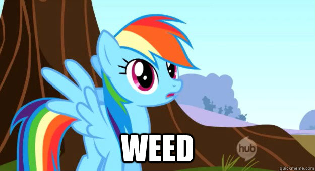  weed  Rainbow Dash