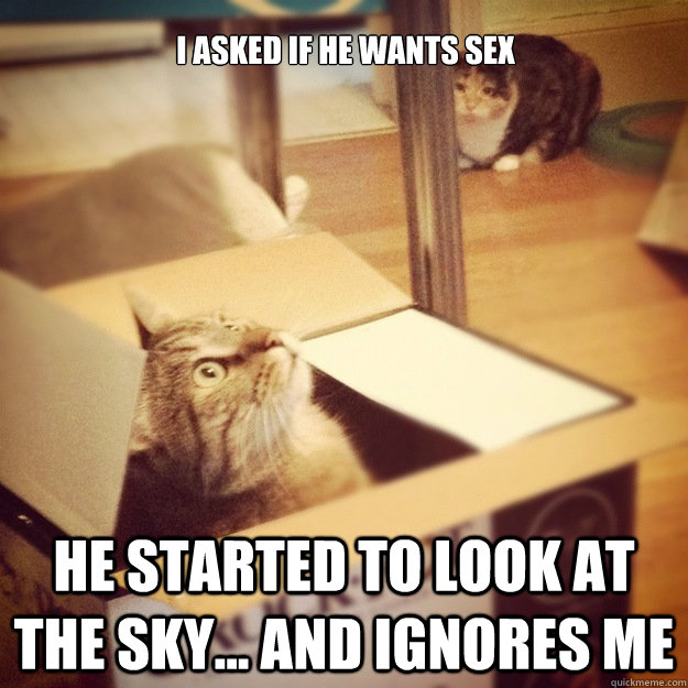 I asked if he wants sex he started to look at the sky... and ignores me  Cats wife