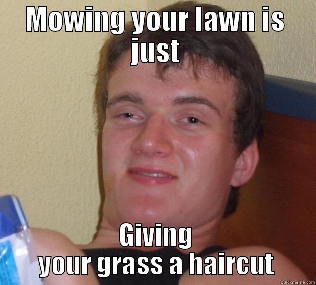 MOWING YOUR LAWN IS JUST GIVING YOUR GRASS A HAIRCUT 10 Guy