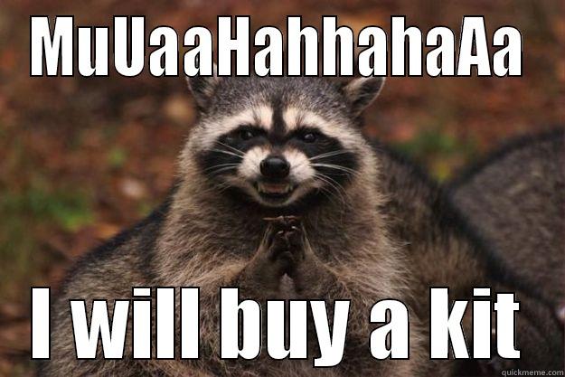 MUUAAHAHHAHAAA I WILL BUY A KIT Evil Plotting Raccoon