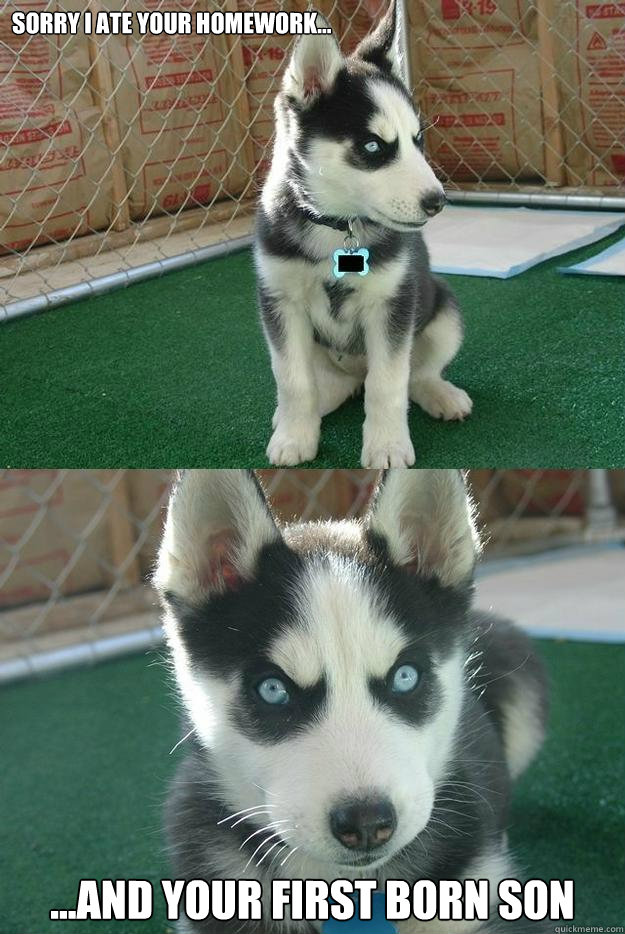 Sorry I ate your homework... ...and your first born son  Insanity puppy