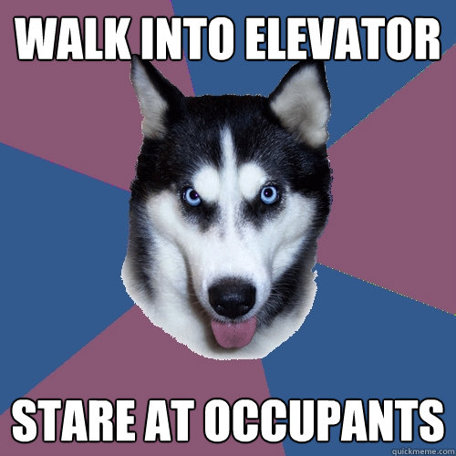 WALK INTO ELEVATOR STARE AT OCCUPANTS  Creeper Canine