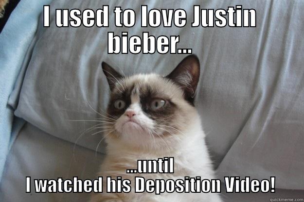 I USED TO LOVE JUSTIN BIEBER... ...UNTIL I WATCHED HIS DEPOSITION VIDEO! Grumpy Cat