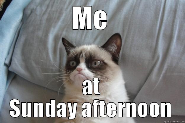 ME AT SUNDAY AFTERNOON Grumpy Cat