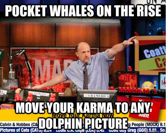 Pocket Whales on the rise MOve your karma to any Dolphin picture - Pocket Whales on the rise MOve your karma to any Dolphin picture  Mad Karma with Jim Cramer