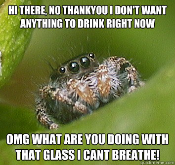 Hi there, no thankyou i don't want anything to drink right now omg what are you doing with that glass i cant breathe!  Misunderstood Spider