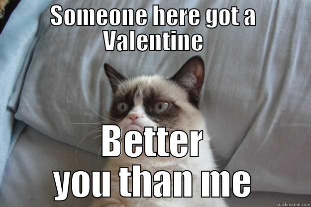 SOMEONE HERE GOT A VALENTINE BETTER YOU THAN ME Grumpy Cat