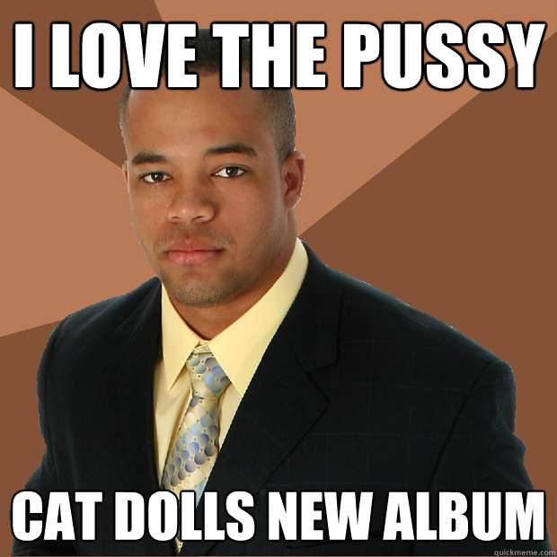 I love the pussy cat dolls new album  Successful Black Man