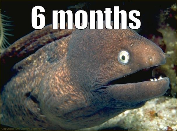 inside jokes 6 months - 6 MONTHS  Bad Joke Eel