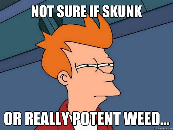 Not sure if skunk or really potent weed...  Futurama Fry