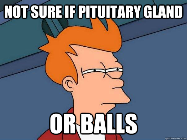 Not sure if pituitary gland Or balls - Not sure if pituitary gland Or balls  Futurama Fry