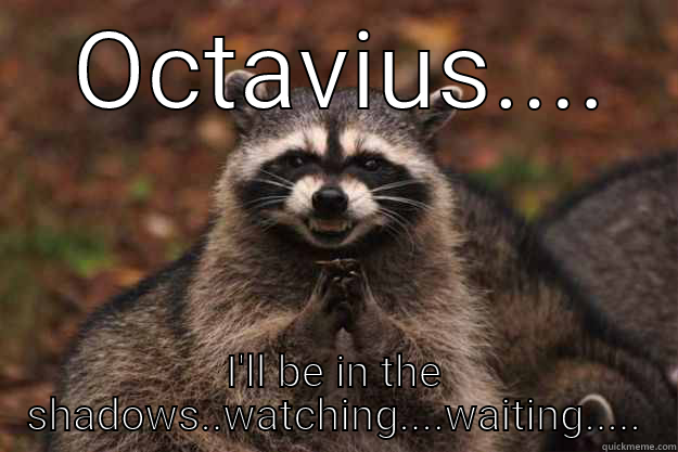  OCTAVIUS.... I'LL BE IN THE SHADOWS..WATCHING....WAITING..... Evil Plotting Raccoon