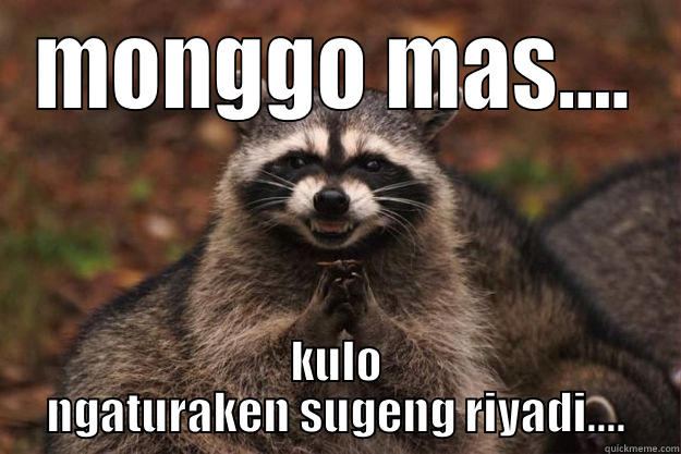 ape lu! - MONGGO MAS.... KULO NGATURAKEN SUGENG RIYADI.... Evil Plotting Raccoon