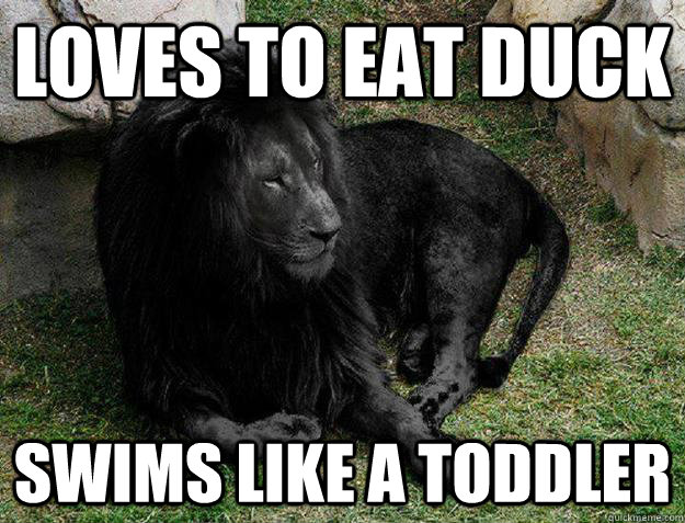 loves to eat duck swims like a toddler - loves to eat duck swims like a toddler  Black Lion Problems