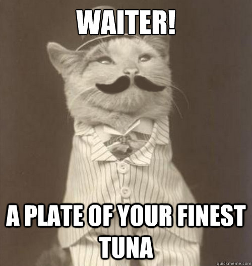 Waiter! A plate of your finest tuna  Original Business Cat