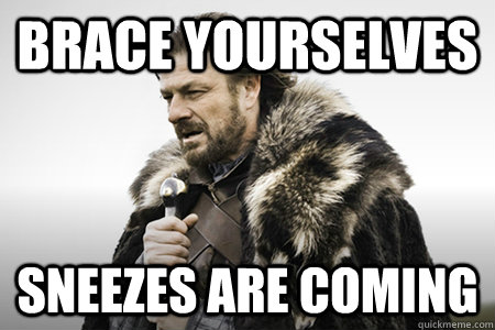 Brace yourselves Sneezes are coming   Bday game of thrones