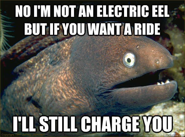 no I'm not an electric eel but if you want a ride I'll still charge you - no I'm not an electric eel but if you want a ride I'll still charge you  reaction waiting eel