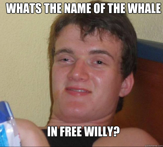 whats the name of the whale in free willy? - whats the name of the whale in free willy?  10guy