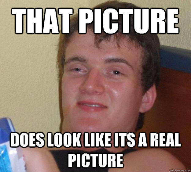 that picture does look like its a real picture - that picture does look like its a real picture  10 Guy