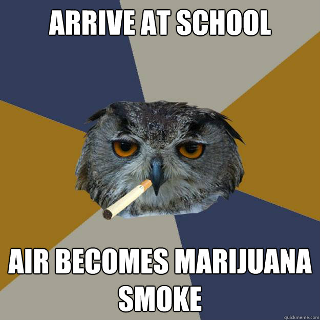 arrive at school air becomes marijuana smoke  Art Student Owl