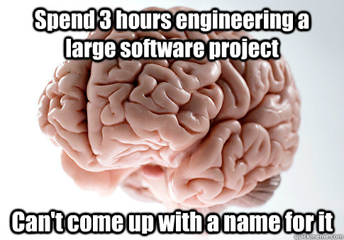 Spend 3 hours engineering a large software project Can't come up with a name for it  Scumbag Brain