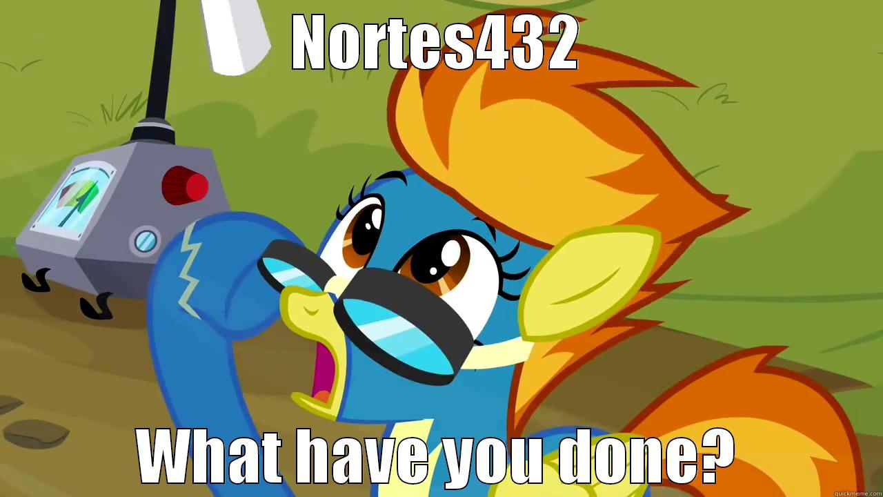 NORTES432 WHAT HAVE YOU DONE? Misc