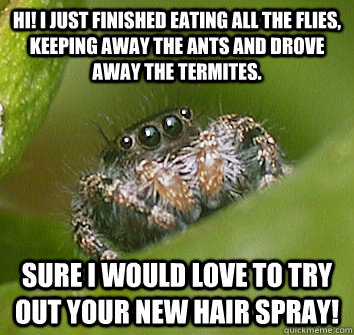 Hi! I just finished eating all the flies, keeping away the ants and drove away the termites. SURE I WOULD LOVE TO TRY OUT YOUR NEW HAIR SPRAY!  Misunderstood Spider