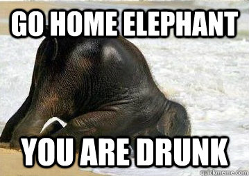 Go home elephant You are drunk  Drunk baby Elephant