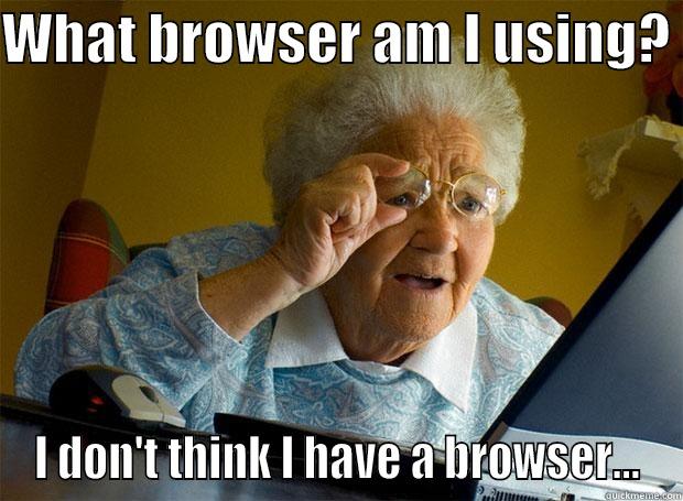 WHAT BROWSER AM I USING?  I DON'T THINK I HAVE A BROWSER... Grandma finds the Internet