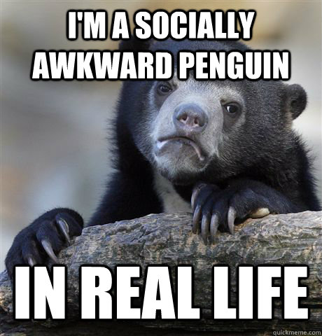 I'm a socially awkward penguin in real life  Confession Bear