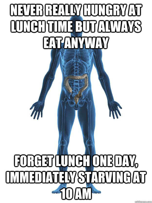 Never really hungry at lunch time but always eat anyway Forget lunch one day, immediately starving at 10 AM  Scumbag human body