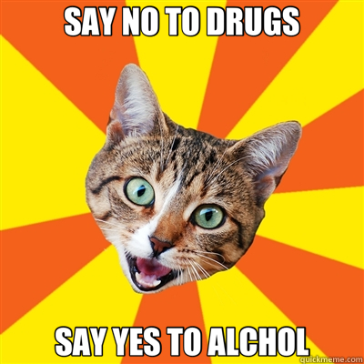 SAY NO TO DRUGS SAY YES TO ALCHOL  Bad Advice Cat