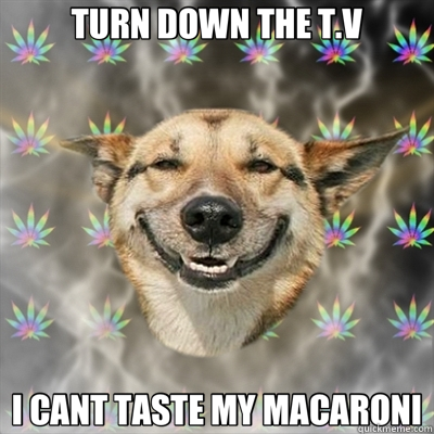 TURN DOWN THE T.V I CANT TASTE MY MACARONI  Stoner Dog