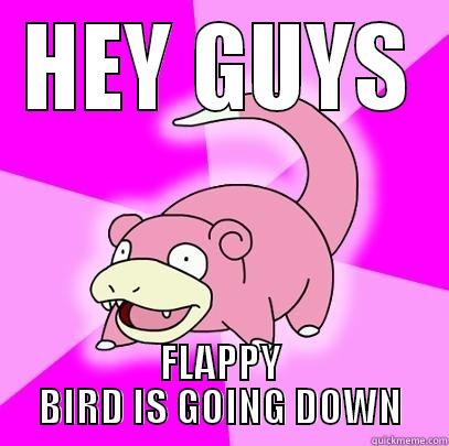 HEY GUYS FLAPPY BIRD IS GOING DOWN Slowpoke