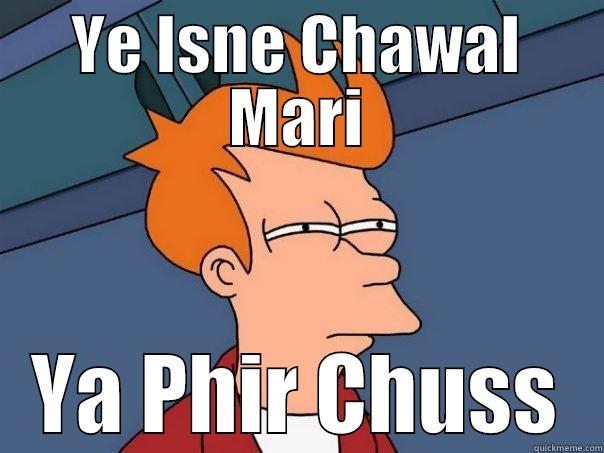 YE ISNE CHAWAL MARI YA PHIR CHUSS Futurama Fry