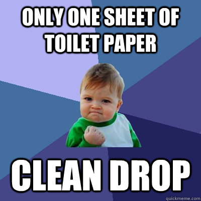 Only one sheet of toilet paper clean drop  Success Kid