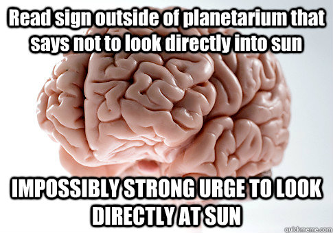 Read sign outside of planetarium that says not to look directly into sun IMPOSSIBLY STRONG URGE TO LOOK DIRECTLY AT SUN   Scumbag Brain