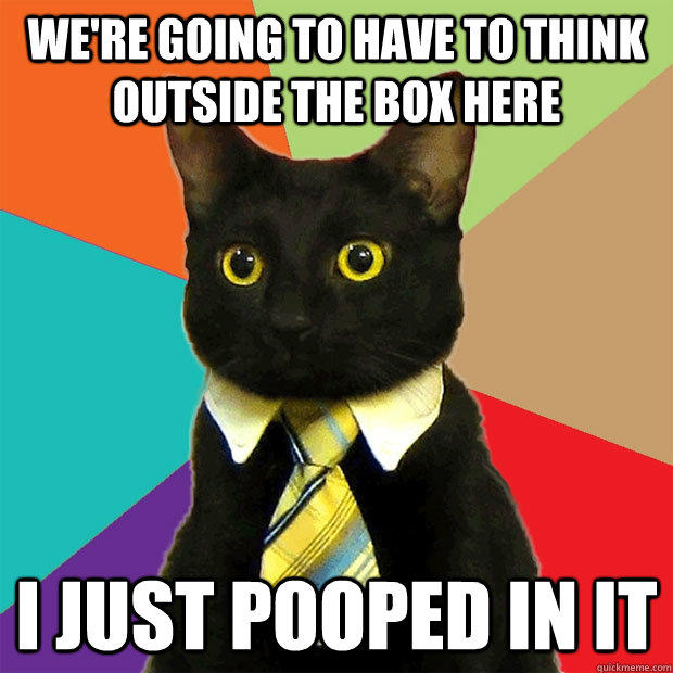 We're going to have to think outside the box here I just pooped in it  Business Cat