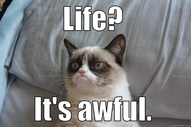 LIFE? IT'S AWFUL. Grumpy Cat