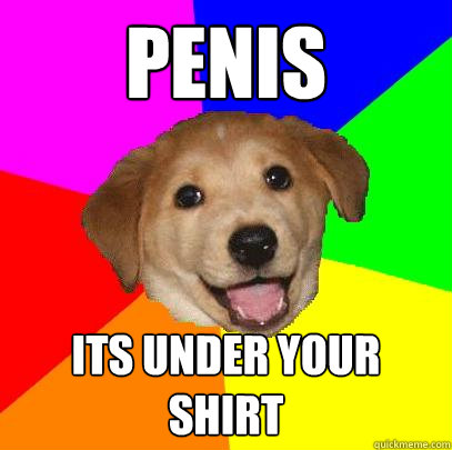 PENIS ITS UNDER YOUR SHIRT  Advice Dog