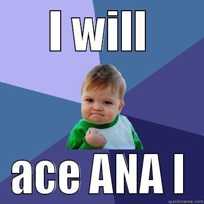 I WILL ACE ANA I Success Kid