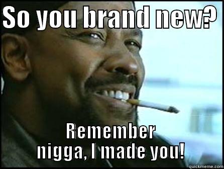 SO YOU BRAND NEW?  REMEMBER NIGGA, I MADE YOU! Misc