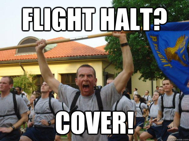 Flight Halt? Cover!  