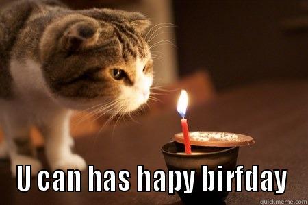  U CAN HAS HAPY BIRFDAY Misc