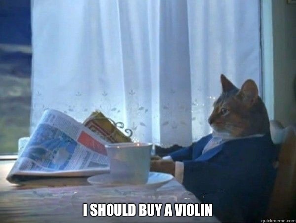  I should buy a violin  morning realization newspaper cat meme