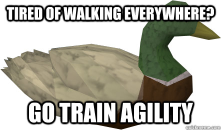 Tired of walking everywhere? Go train agility - Tired of walking everywhere? Go train agility  Runescape Advice Duck