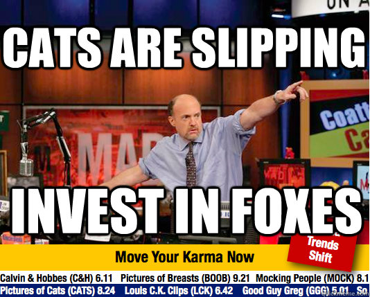 Cats are slipping Invest in foxes  Mad Karma with Jim Cramer