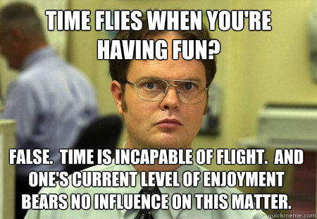 time flies when you're having fun? false.  time is incapable of flight.  and one's current level of enjoyment bears no influence on this matter.  