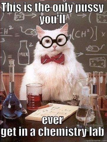 THIS IS THE ONLY PUSSY YOU'LL EVER GET IN A CHEMISTRY LAB Chemistry Cat